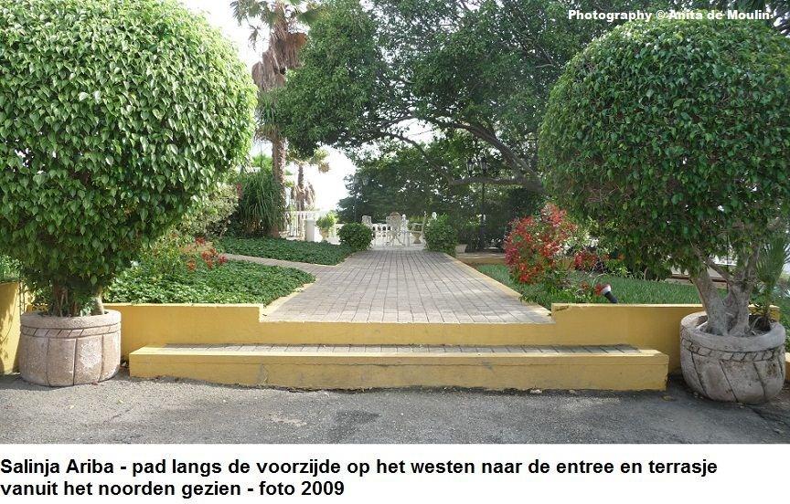06. Salinja Ariba pad langs de voorzijde 2009